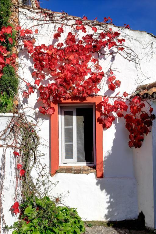 Cortijo La Hoya Hostal El Bujeo Exterior foto